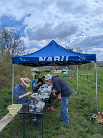 Gewässeruntersuchung am 18.4.26 Foto: NABU/C.Bücker