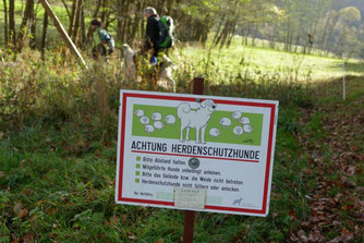 Bei der Herde steht ein Schild mit Hinweisen für Wanderer. Foto: I.Till