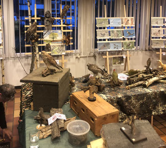 Ausstellung