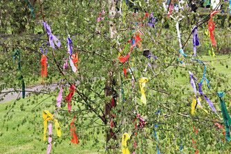 Maibaum