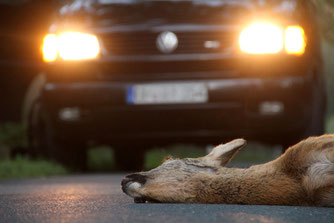 Foto: Jan Piecha
