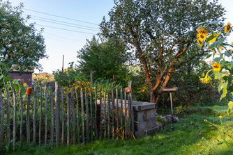 Foto: Marc Scharping