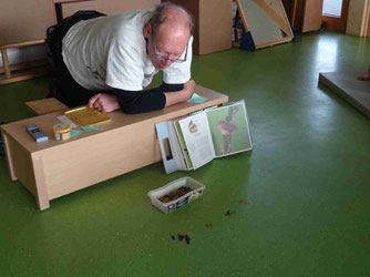 Thomas Schalk (Foto: Stadtkäfer)