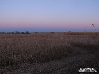 画像：2019/01/18 第一調節池の東の空（ちきゅうえいとビーナスベルト）