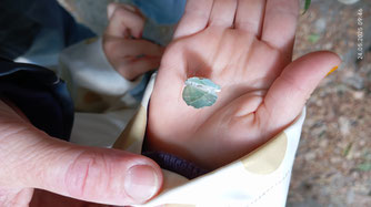 kein Blatt, sondern ein geflügelter Begleiter / ©Kathrin Räsch