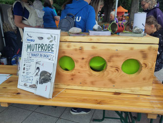 Mutprobe - wer traut sich?