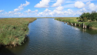 An der Beek nahe der Insel Koos / ©Bernd Schirmeister