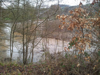 Teich bei Hochwasser - Foto: NABU Kusel