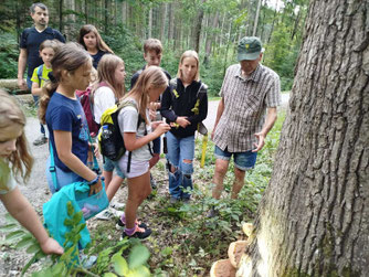 Bild: NABU-Weinstadt, Hans Ruff