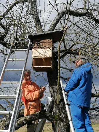 Bild: NABU-Weinstadt, Claus Hainbuch