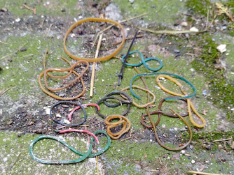 Rund um den Storchenhorst wurden Gummiteile gefunden, die beim Füttern heruntergefallen sind. Foto: NABU Leipzig