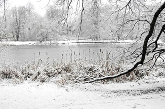 Winter am Eutritzscher Parkteich. Foto: Beatrice Jeschke