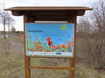 Infoschild am NABU-Biotop Stralsunder Straße. Foto: Steffen Wagner