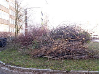 Häufig werden im Umfeld von Baumaßnahmen Grünflächen und Gehölze beseitigt, bei denen es sich um essenzielle Nahrungsstätten von Brutvögeln handelt. Dadurch sinkt der Bruterfolg, Vogelpopulationen können aussterben. Foto: NABU Leipzig