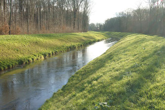 Kleine Luppe. Foto: René Sievert