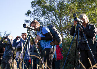 Foto: René Bauer