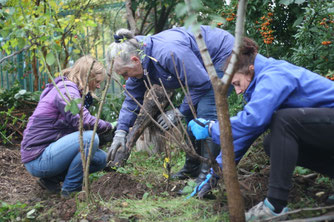 Pflanzaktion im Gemeinschaftsgarten Annalinde. Foto: Annalinde gGmbH