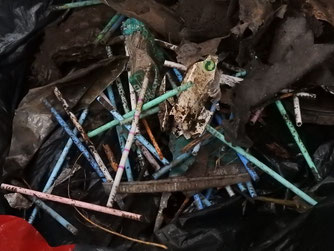 Mühsame Müllsammlung: Etwa 100 Plastikstäbchen lagen im Auwald herum. Foto: Beatrice Jeschke