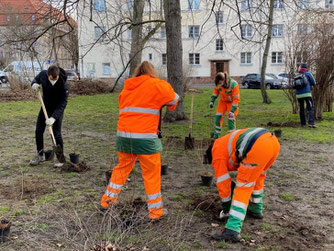 Gemeinsame Pflanzaktion. Foto: Stadtreinigung Leipzig