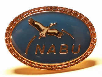 NABU-Ehrennadel in Bronze. Foto: René Sievert