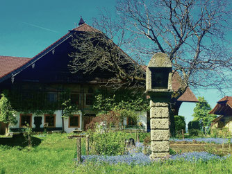  babebi-ontour, Hatschn&Haxln, durch ganz Österreich, Salzburg, Radtour, Maria Plain, Hallwang, Bergheim, Anthering, Obertrum am See, Seekirchen am Wallersee, Hallwang, Elixhausen, E-Bike Tour, Haunsberg, Salzburger Land, Aktiv Urlaub, Radtour, Rennrad