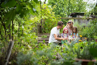 Stunde der Gartenvögel - Zählen im Garten © NABU/Sebastian Hennigs