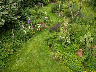 Wilder Garten. Foto © NABU/Volker Gehrmann