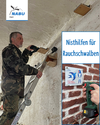 Fotos: NABU Hagen/A. Welzel