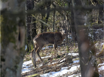 Foto: Marion Zöller / NABU Euskirchen