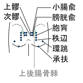 坐骨神経痛 ツボ健康療法講座