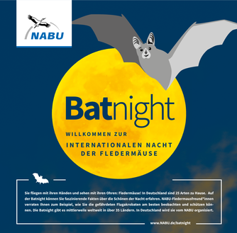 Text: Belinda Bindig, Grafik: Matthias Schoebe, Illustration: NABU/Paulina Ziółkowska