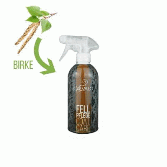 Die Kräuter aus dem Fellpflegespray im Schnelldurchlauf