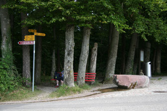 Eschenmosen Rastplatz