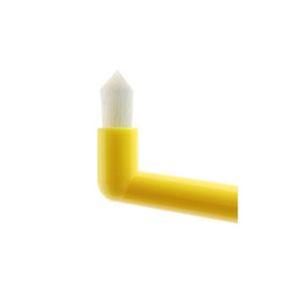 プラウト