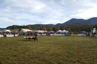 Festival des Saveurs Pyrénées Audoises - Quillan