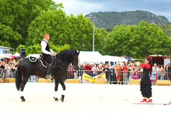 Salon du Cheval - Quillan - Pyrénées Audoises