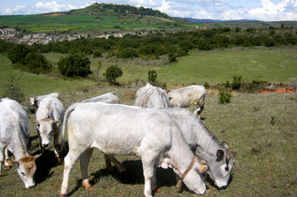De fermes en fermes - Pyrénées Audoises