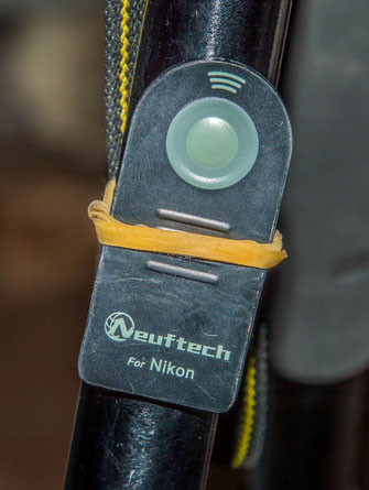 Il telecomando wireless per la Nikon.