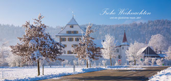 Weihnachtskarten, Neujahrskarten, Schloss Wyher, Märchenschloss, Schnee, Winterlandschaft, Schneelandschaft, Ettiswil, Luzern 