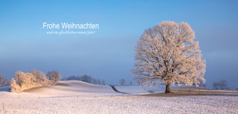 nachhaltig, hochwertig, Schweiz, bestellen, Weihnachtskarte, Neujahrkarte, im Langformat, C6/5, Winterlandschaft, Eiche, Baum im Schnee, Raureif