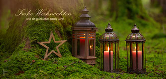 Weihnachtskarten, Neujahrskarten, Wald, Laternen im Wald, Kerzenlichter, Kerzenlichter im Wald, Kerzenschein, gutenhof, Ettiswil, Luzern, Fotokarten Weihnachten