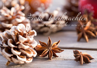 Weihnachtskarte Sternanis und Tannzapfen,  Neujahrskarten, Karten zu Weihnachten, Fotokarten zu Weihnachten, Weihnachtskarten, Weihnachtskarten Schweiz, Weihnachtskarten Shop