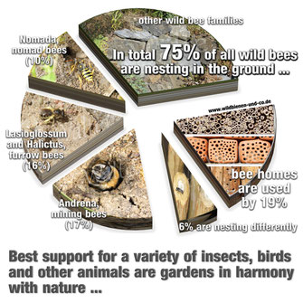 Bild: insektenhotel beehome beehotel beehotels bienenhotel insektennisthilfe wildbiene wildbienen wildbee wildbees biodiversität biodiversity artenvielfalt rettetdiebienen wildbienenschutz savethebees insektensterben hohlraumnister naturnaher garten