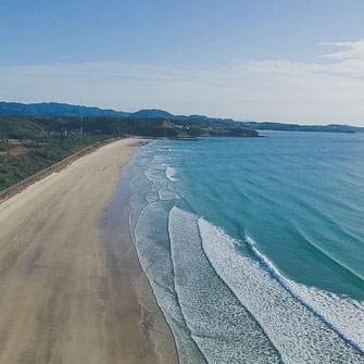 脇本海水浴場 Uminoie Sunflower 海の家サンフラワー 脇本海水浴場 海の家 Sunflower