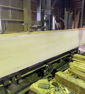 桧一枚板｜桧カウンター｜ - 名古屋／一枚板と銘木 ウッドギャラリー源