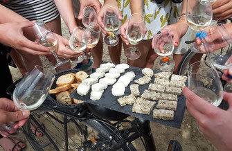 bike-ride-wine-tour-vineyard-Loire-Valley-wine-tasting