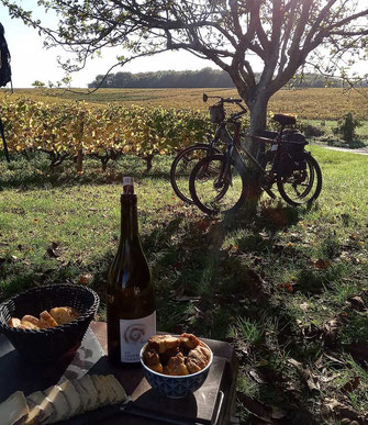 bike-ride-and-wine-tasting-local-food-Loire-Valley-Vouvray-Amboise-Tours-Amboise-Myriam-Fouasse-Robert-wine-tours-original-and-unique-genuine-experience