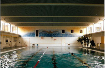 Delphinschwimmer im Hallenbad Kaufering