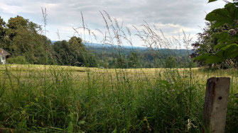 Foto, Landschaft bei Bad Heilbrunn, Aussicht Parkvilla Rückgebäude