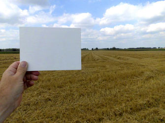 tagesbild, ungemalt, vor stoppelfeld